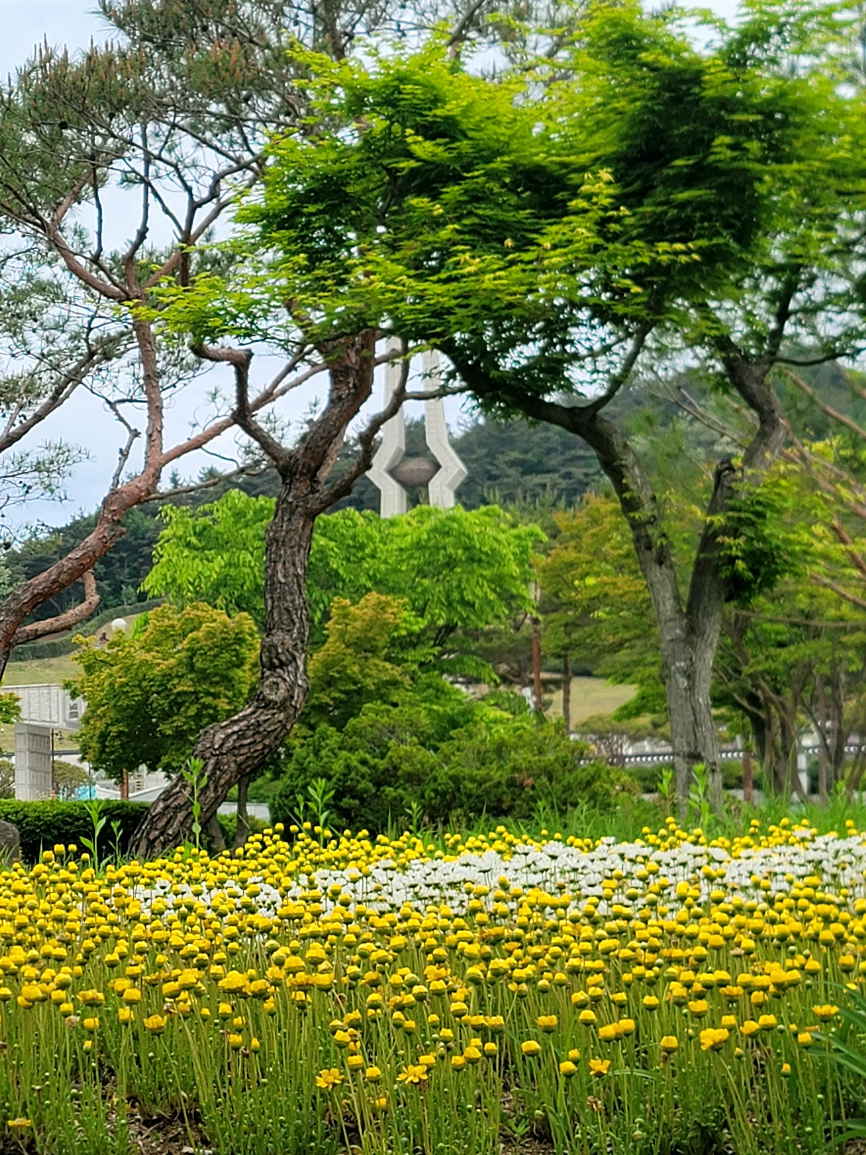 `23년 봄정경 사진이벤트 수상작(민주상)