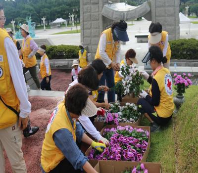 `23.9.18. 대한적십자사 묘전 무궁화 교체 봉사활동 이미지