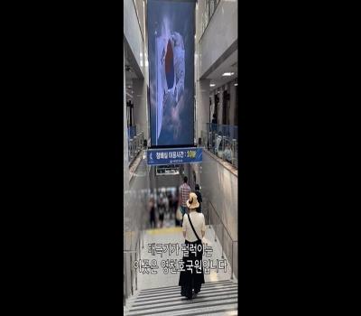 2024년 국립영천호국원 전국 UCC공모전 은상 이미지