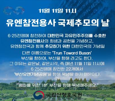 11월 11일 11시 유엔참전용사 국제추모의 날 행사 이미지