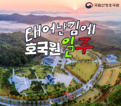태어난김에 호국원일주 하반기 국립묘지 체험활동 이미지