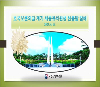 진주세종유치원현충탑참배 이미지
