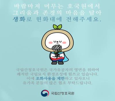 국립묘지 생화 헌화 캠페인 이미지