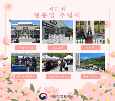 제71회 현충일 추념식 및 부대행사 실시 이미지