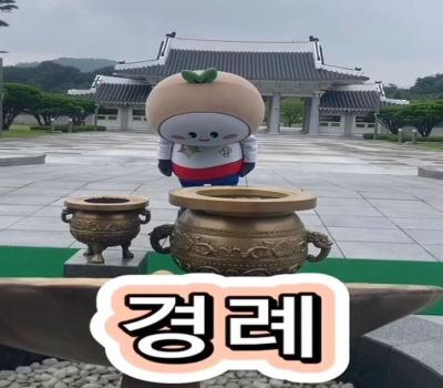 홍보대사 BOBO의 현충탑참배 영상 이미지