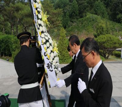 괴산군청('25.6.10.) 이미지