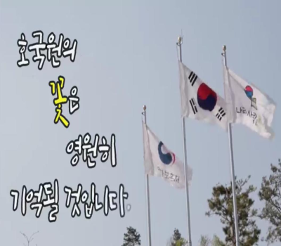 호국원의 꽃 이미지