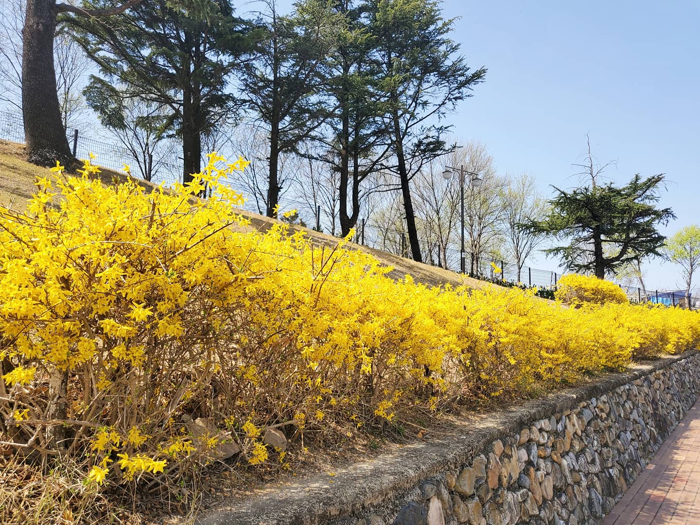 2021 국립신암선열공원의 봄