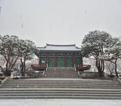 눈 내린 국립신암선열공원 전경 이미지