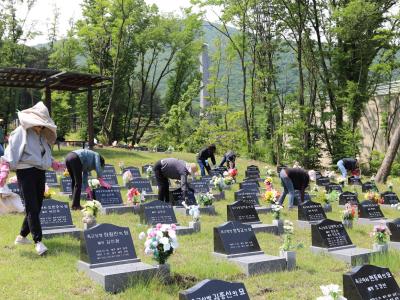 제주여성단체협의회 호국보훈의 달 계기 묘역 정화 봉사(25.5.26.) 이미지
