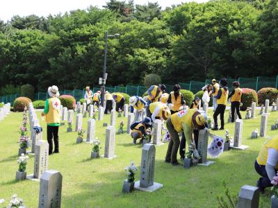 [1사1묘] 대한적십자 제주도지사 묘역정화(25.6.4.) 이미지