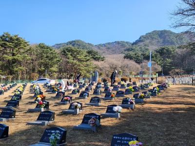 2026년 설 맞이 호국원 전 직원 묘역 정화활동 이미지