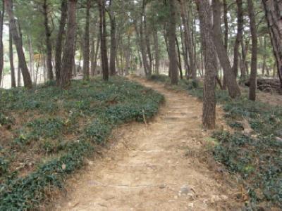 3·15 산림욕장 둘러보기 (5) 이미지