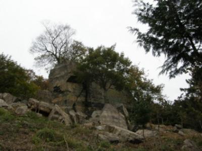 3·15 산림욕장 둘러보기 (7) 이미지