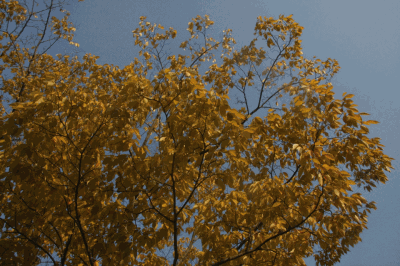 『국립5.18민주묘지』 아름다운 가을풍경사진들 이미지