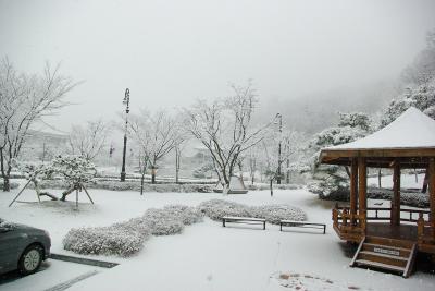 2012년 12월 5일 첫눈오는 날의 풍경 이미지