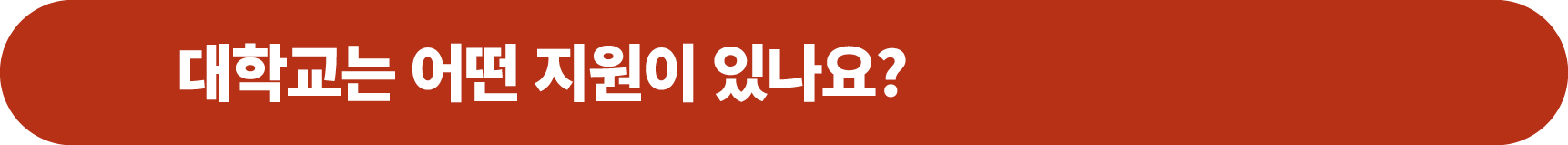 대학교는 어떤 지원이 있나요?