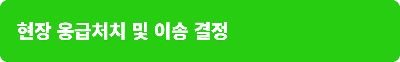 현장 응급처치 및 이송 결정