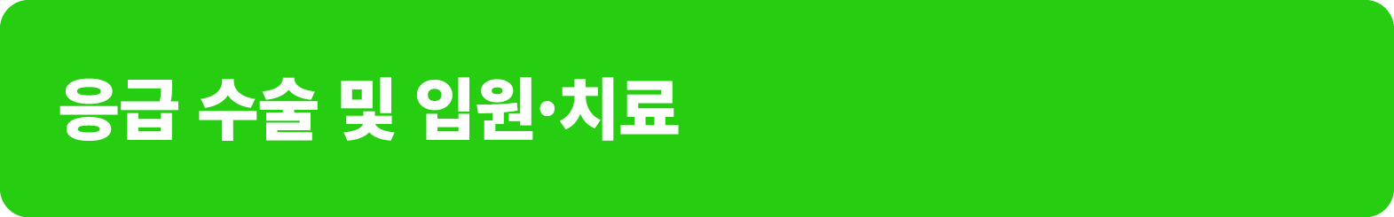 응급 수술 및 입원·치료