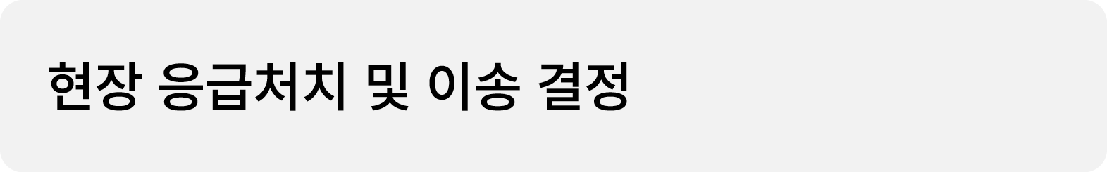 현장 응급처치 및 이송 결정