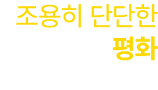 조용히 단단한 평화