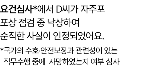 요건심사*에서 D씨가 자주포 포상 점검 중 낙상하여 순직한 사실이 인정되었어요. * 국가의 수호‧안전보장과 관련성이 있는 직무수행 중에 사망하였는지 여부 심사