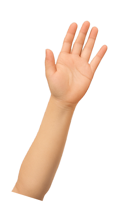 Polygon
