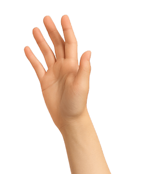 Polygon