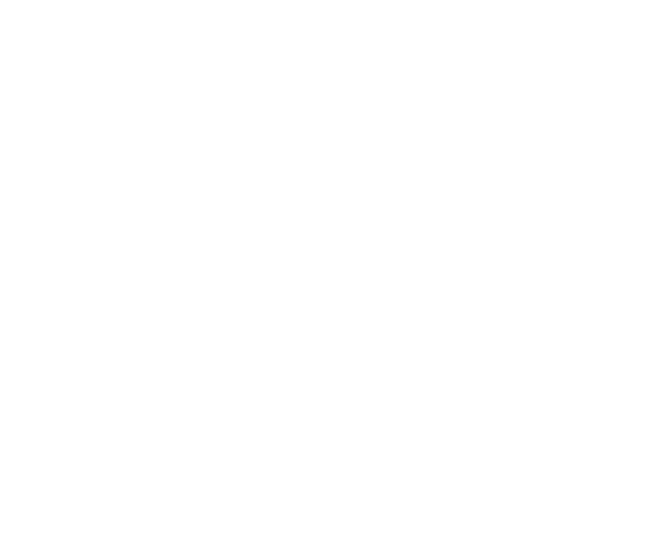  백범 김구 탄생 150주년, 6‧10만세운동 100주년을 계기로 범국민 기념사업을 전개하고, 호국보훈의 달에는 국민이 기획하는 ‘메모리얼 위크’ 등을 진행합니다. 서대문독립공원 내 ‘(가칭) 독립의 전당’ 건...