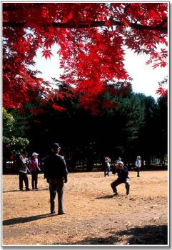 가을 색갈(2) 이미지
