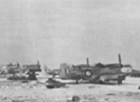 Republic of South Africa Air Force Mustangs stationed in the Youido Advance Air Base