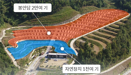 제1묘역 사진