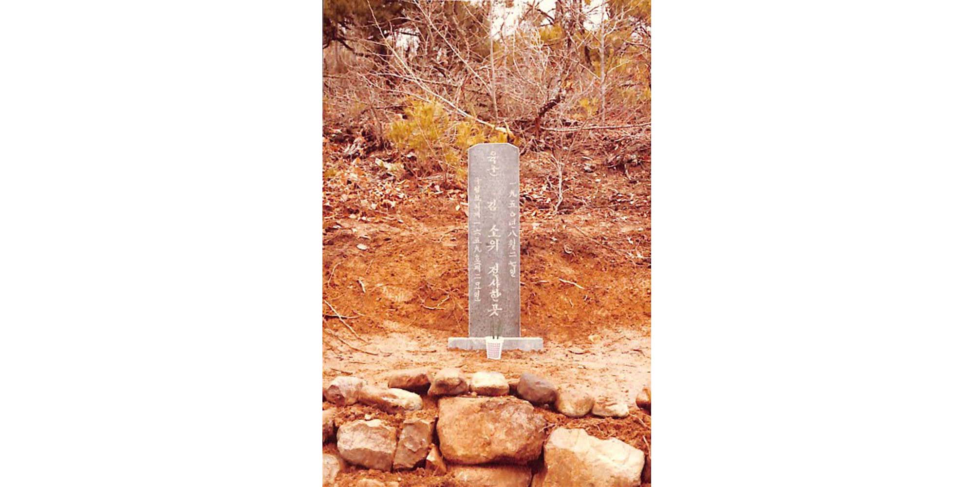 도음산 김소위 묘 사진 - 이미지 썸네일