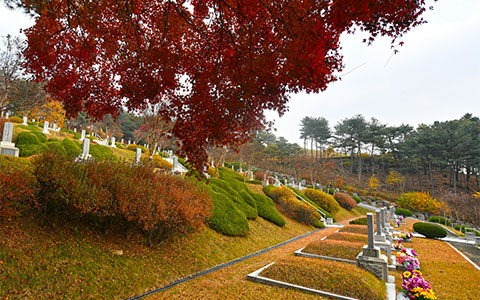 장군 묘역 사진 3