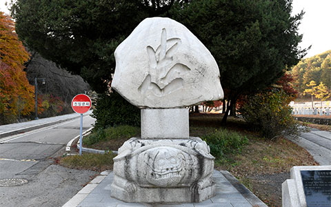 충성거북상 사진 1