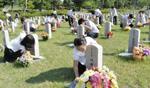 Young Volunteers Program image